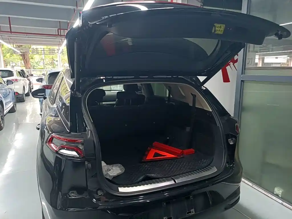 BYD Tang New Energy — фото 19