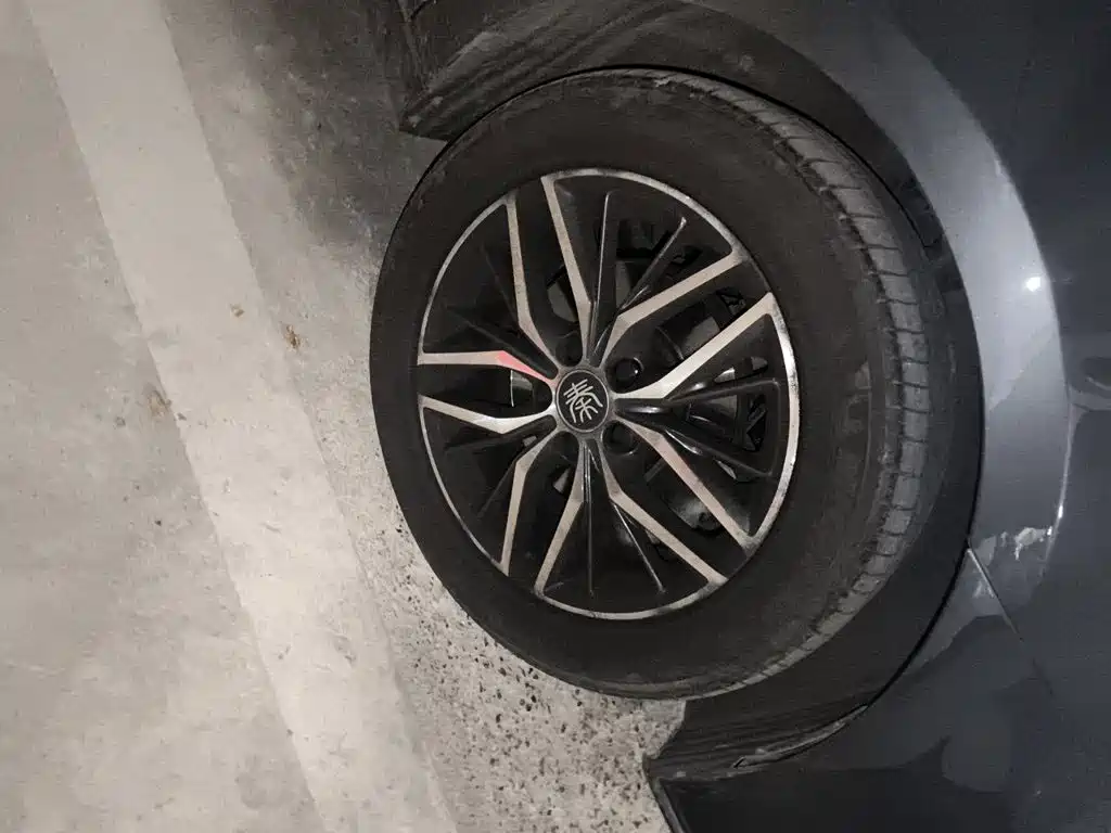 BYD Qin Pro NEV — фото 25