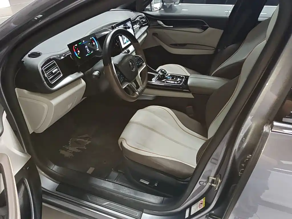 BYD Qin PLUS — фото 14