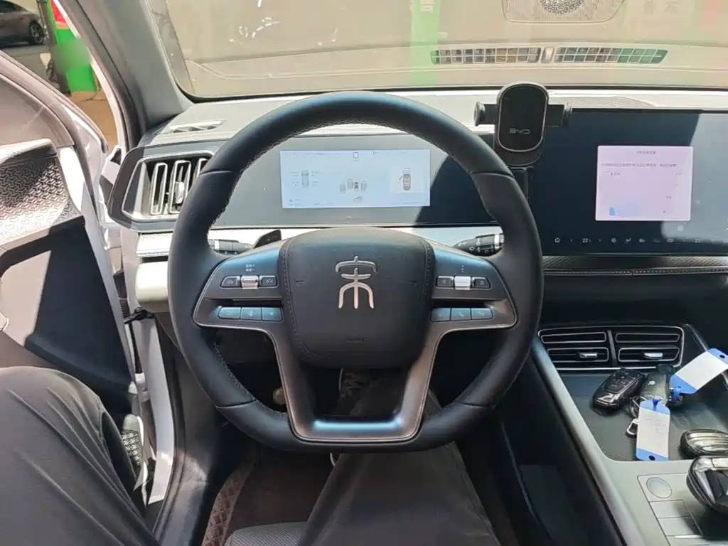 BYD Pro New Energy — фото 11