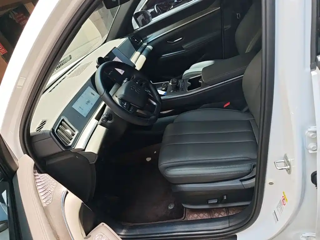 BYD Pro New Energy — фото 15