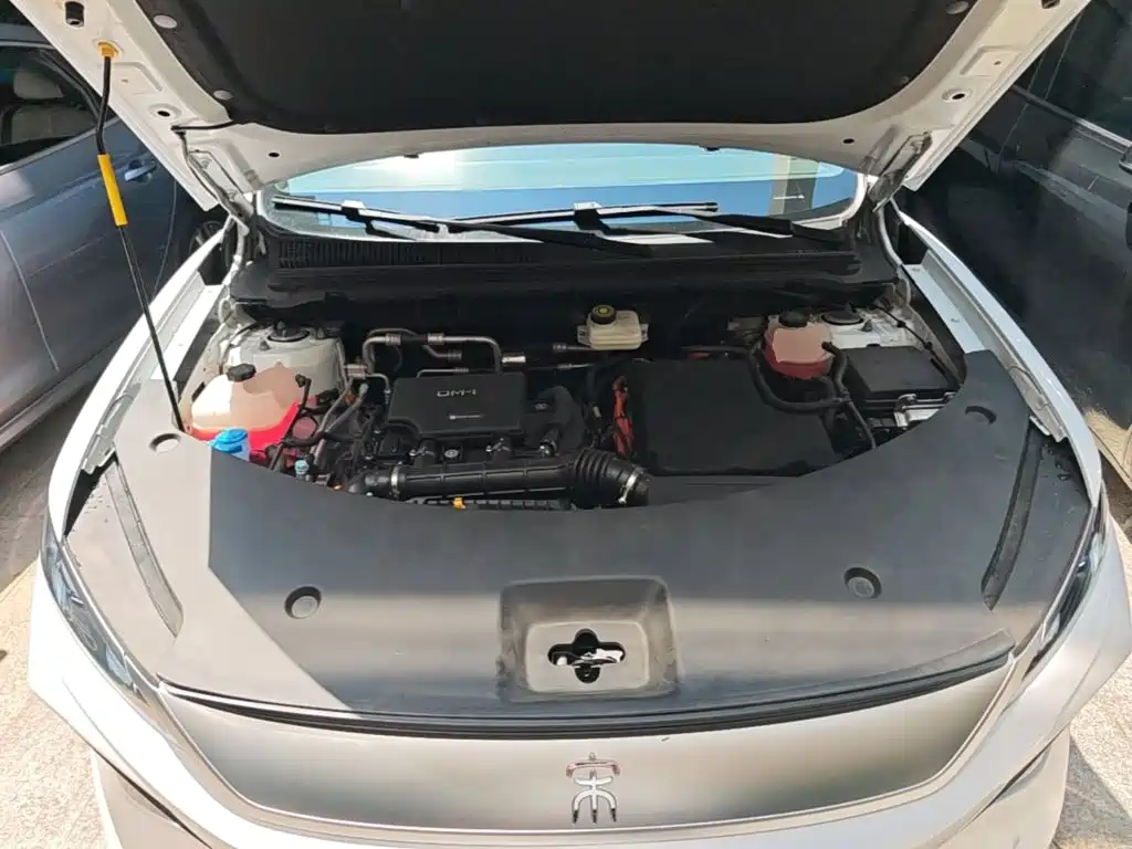BYD Pro New Energy — фото 20