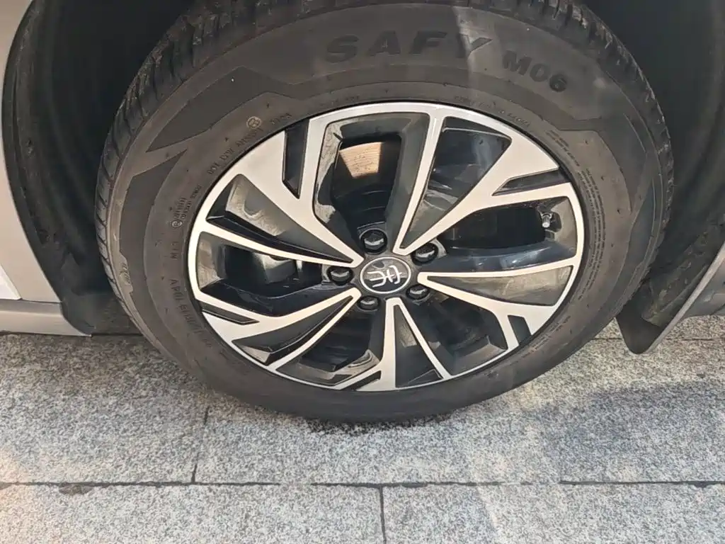BYD Pro New Energy — фото 23