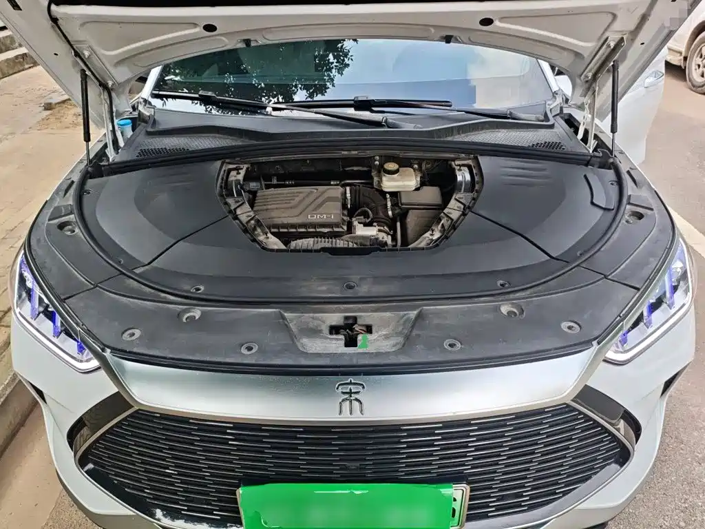 BYD PLUS New Energy — фото 11