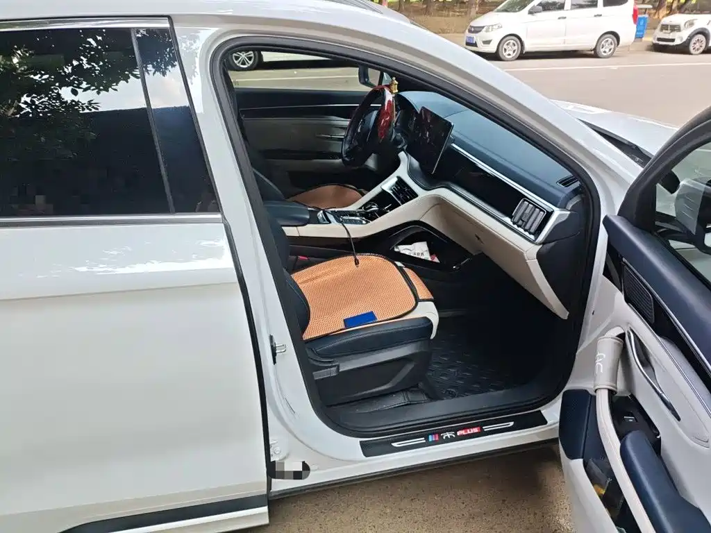 BYD PLUS New Energy — фото 17