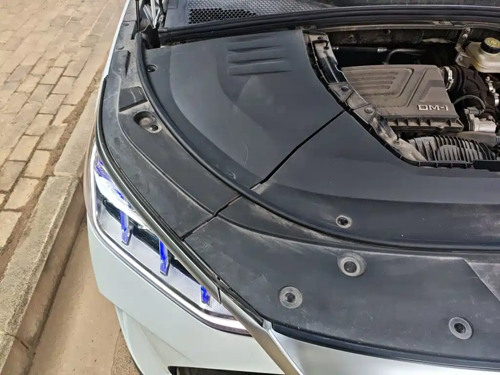 BYD PLUS New Energy — фото 18