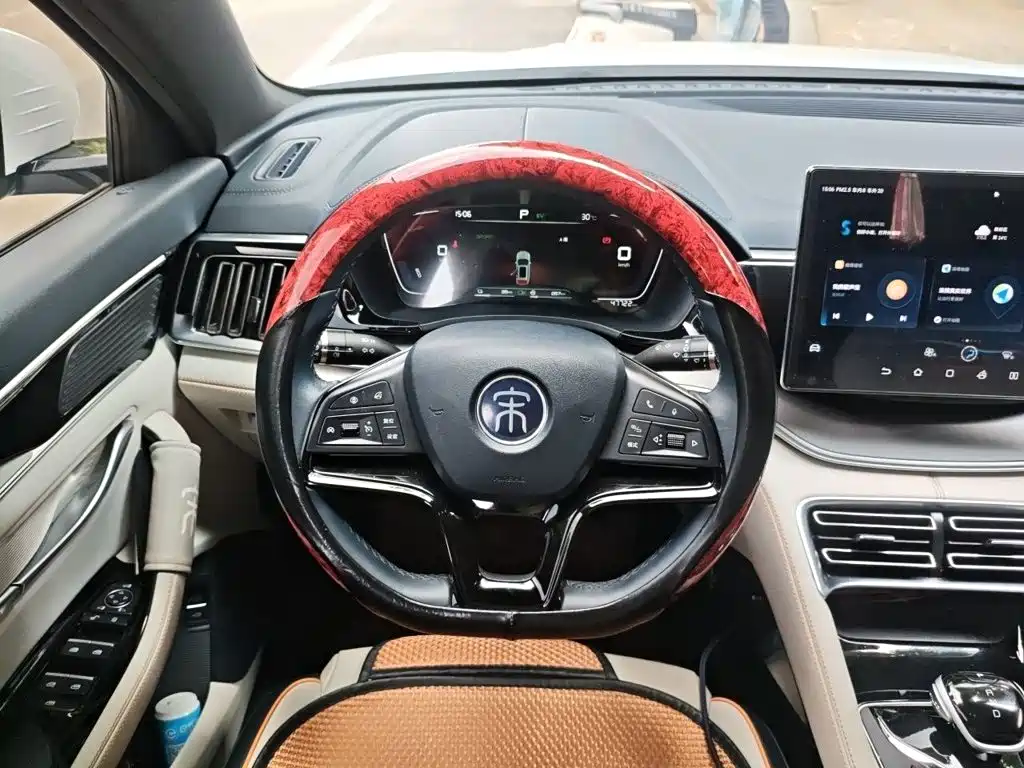 BYD PLUS New Energy — фото 3