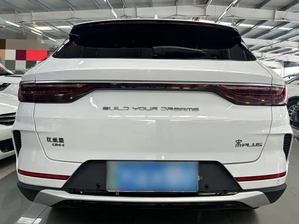 BYD PLUS New Energy — фото 22