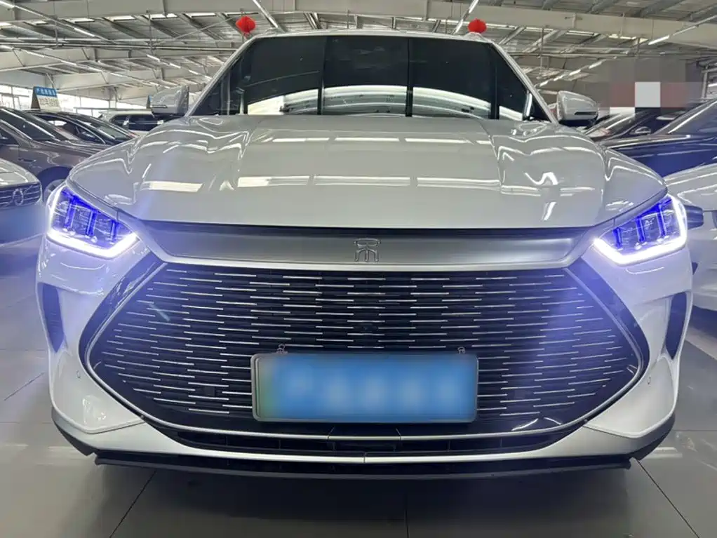 BYD PLUS New Energy — фото 23
