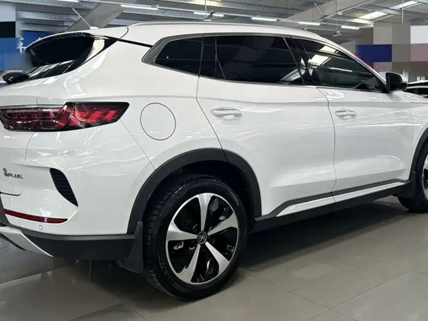 BYD PLUS New Energy — фото 24