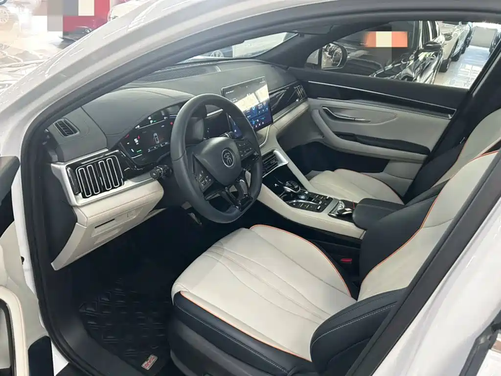 BYD PLUS New Energy — фото 8
