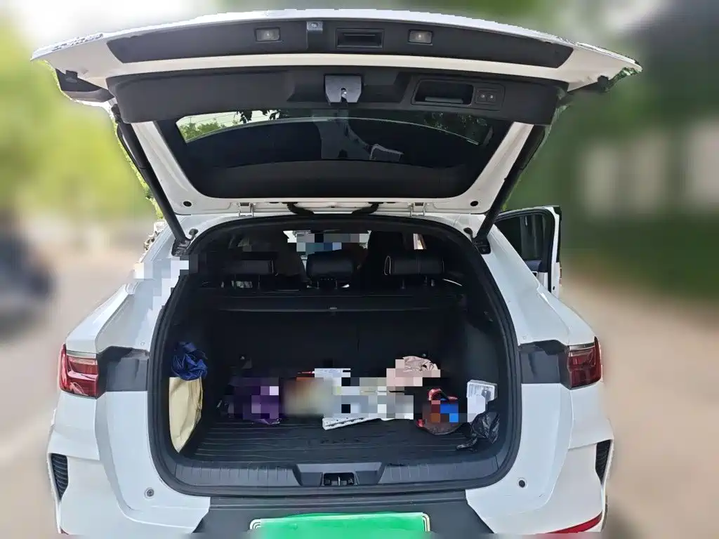 BYD PLUS New Energy — фото 10