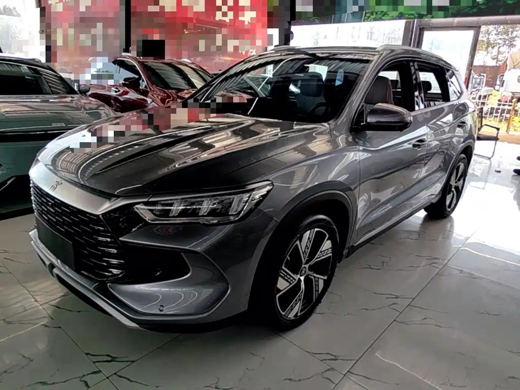 BYD Pro New Energy — фото 2