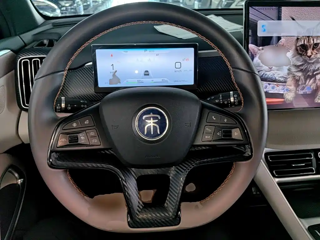 BYD Pro New Energy — фото 11