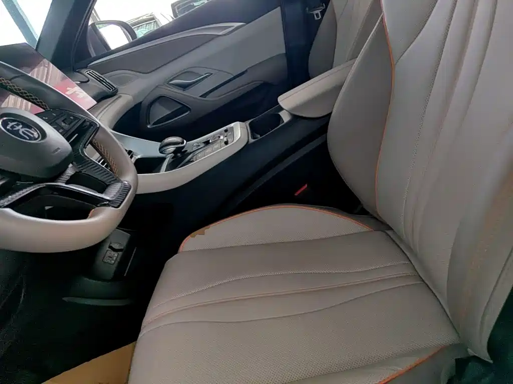 BYD Pro New Energy — фото 15