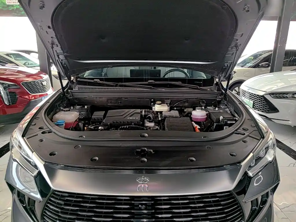 BYD Pro New Energy — фото 20