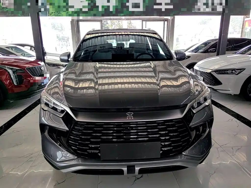 BYD Pro New Energy — фото 3