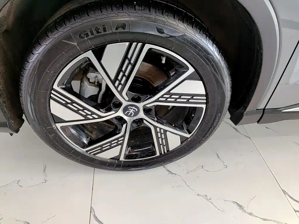 BYD Pro New Energy — фото 23