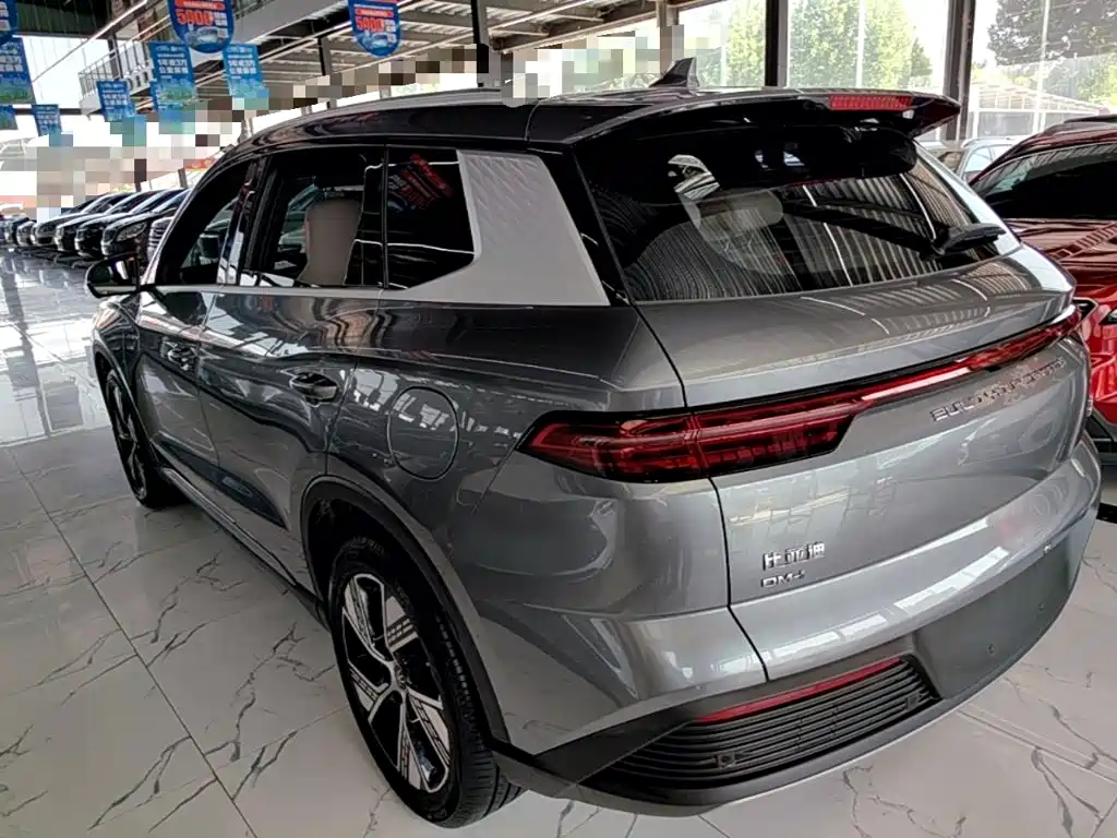 BYD Pro New Energy — фото 5