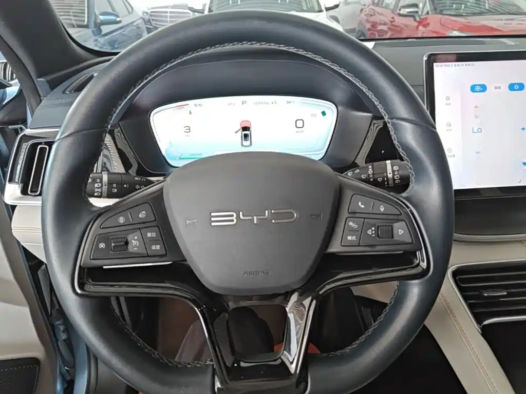 BYD PLUS New Energy — фото 11