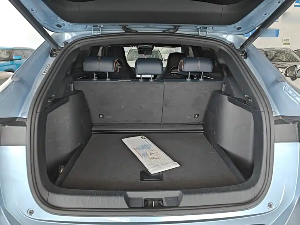 BYD PLUS New Energy — фото 19