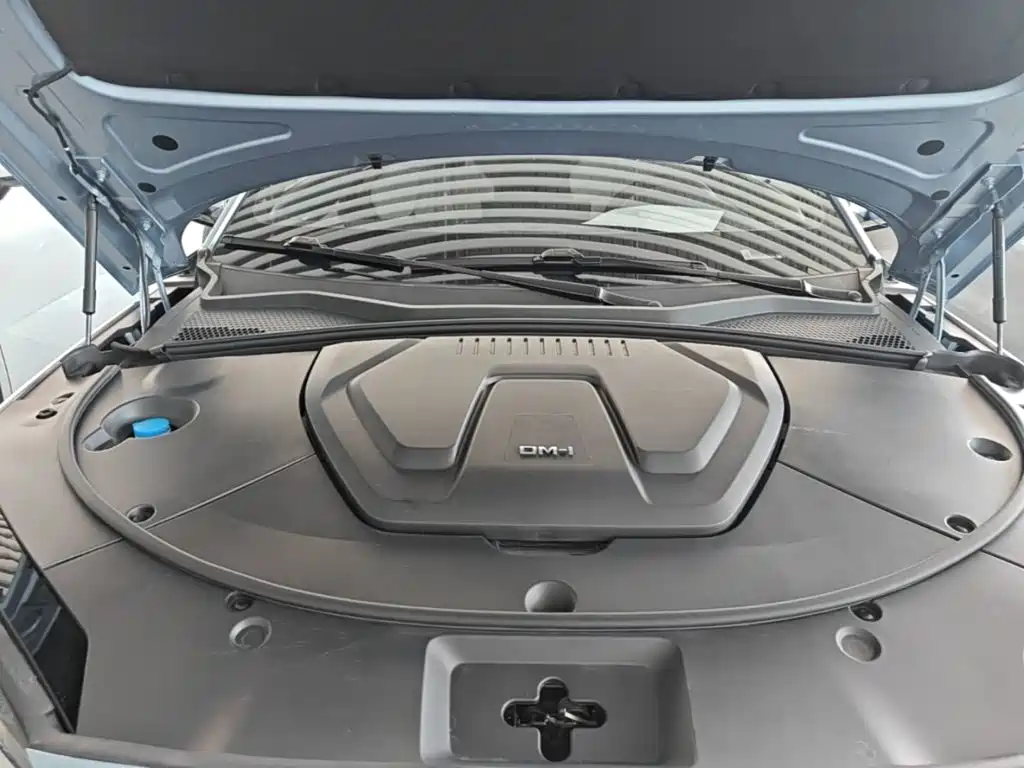 BYD PLUS New Energy — фото 20