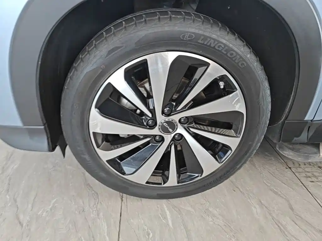 BYD PLUS New Energy — фото 23