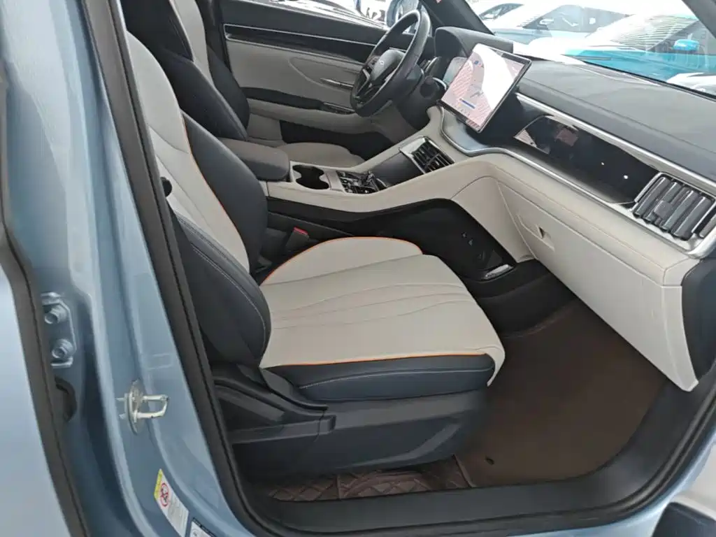 BYD PLUS New Energy — фото 25