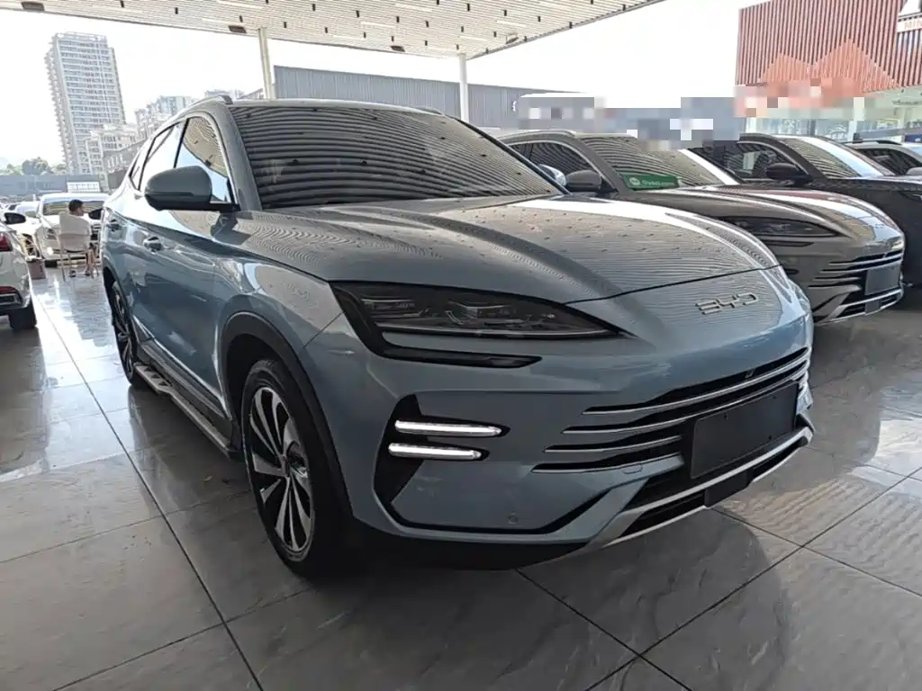 BYD PLUS New Energy — фото 4