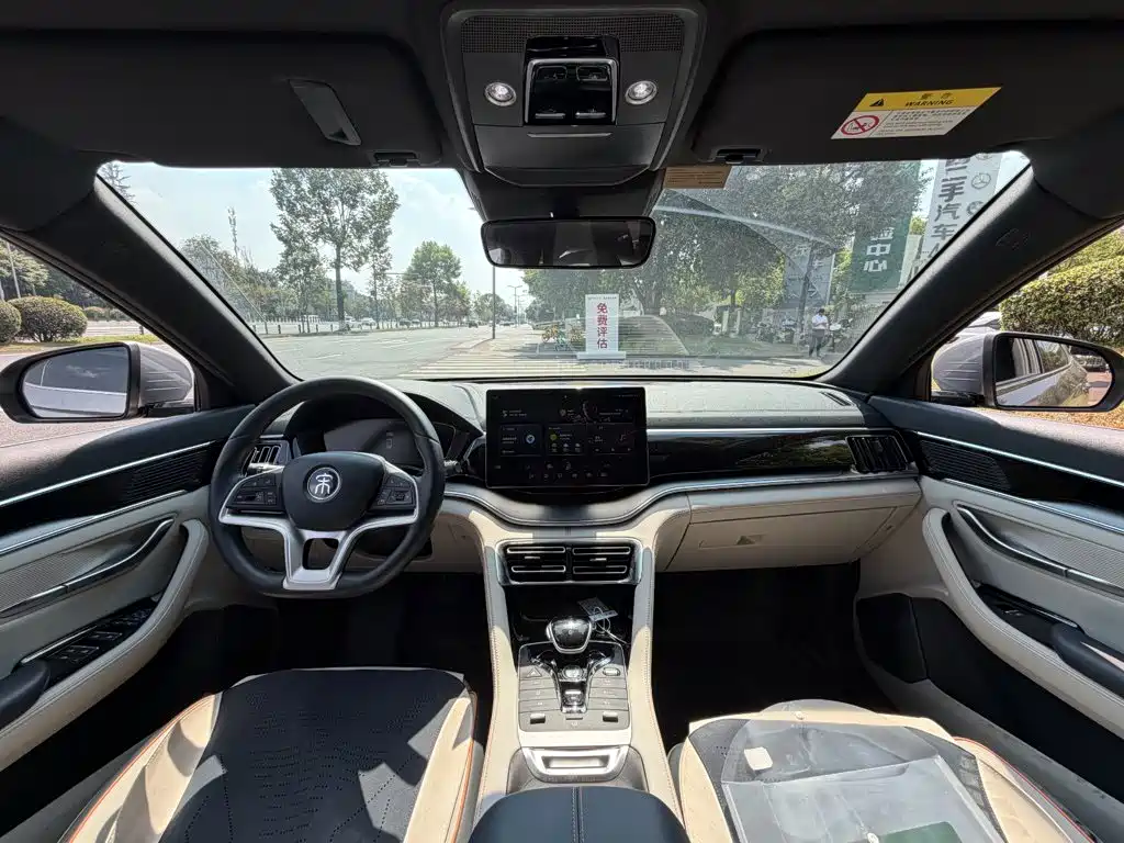 BYD PLUS New Energy — фото 13