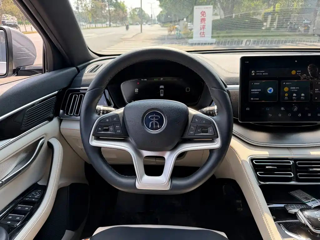 BYD PLUS New Energy — фото 14