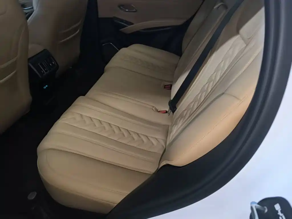 BYD L DM-i — фото 17