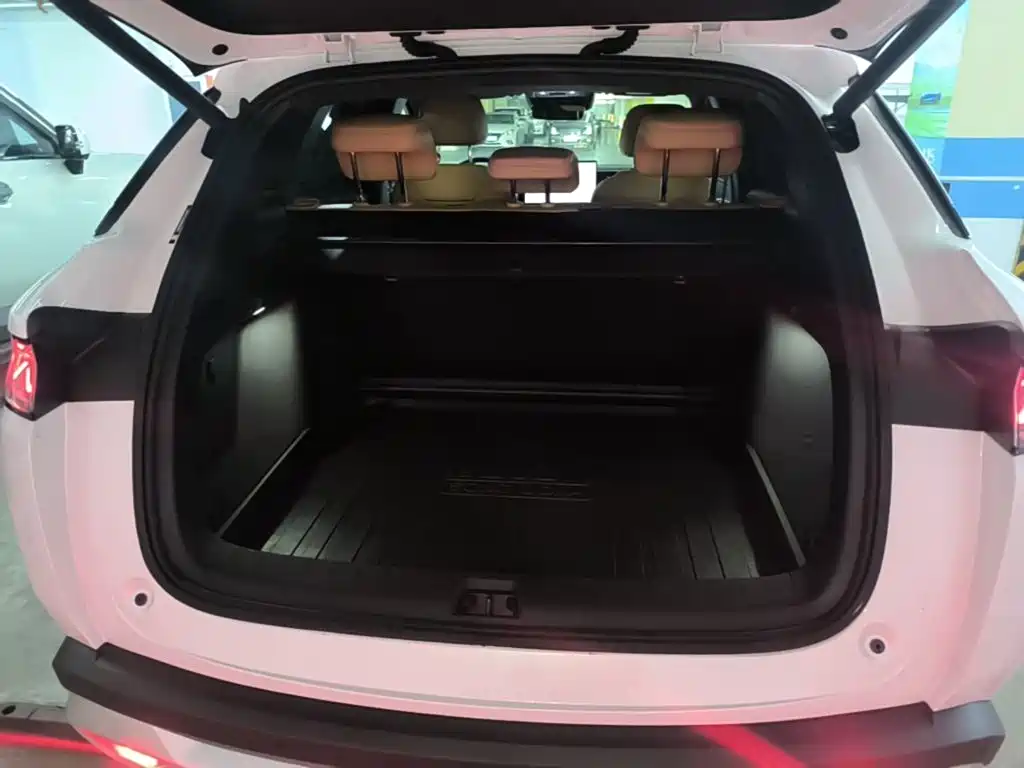 BYD L DM-i — фото 19