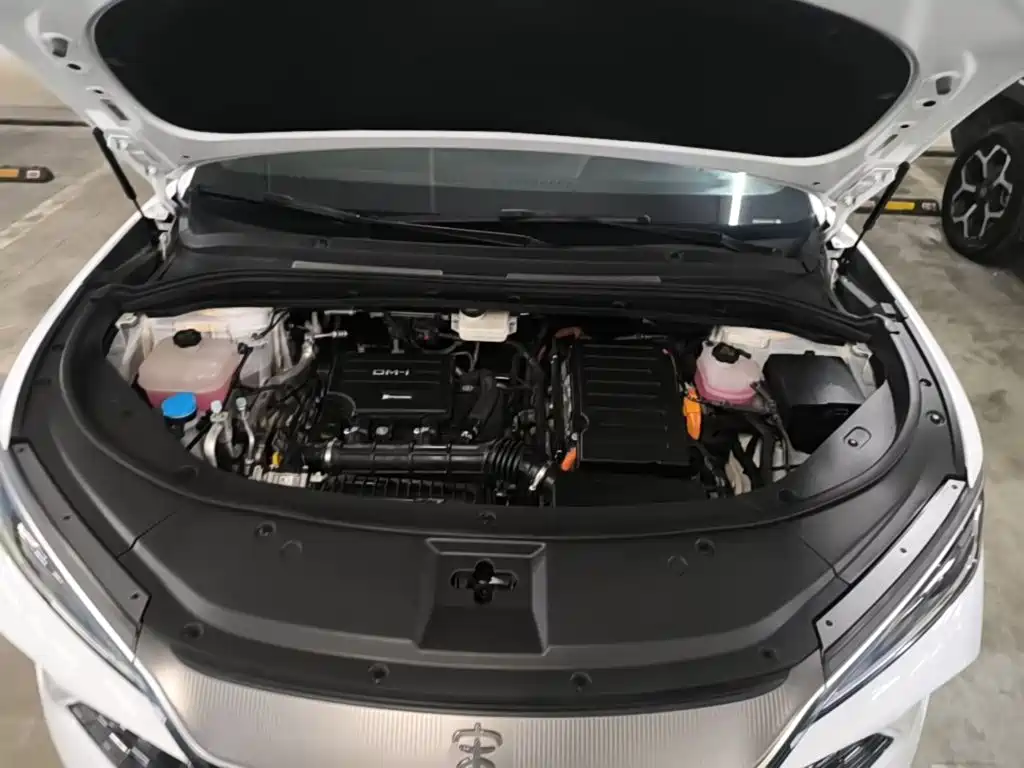 BYD L DM-i — фото 20