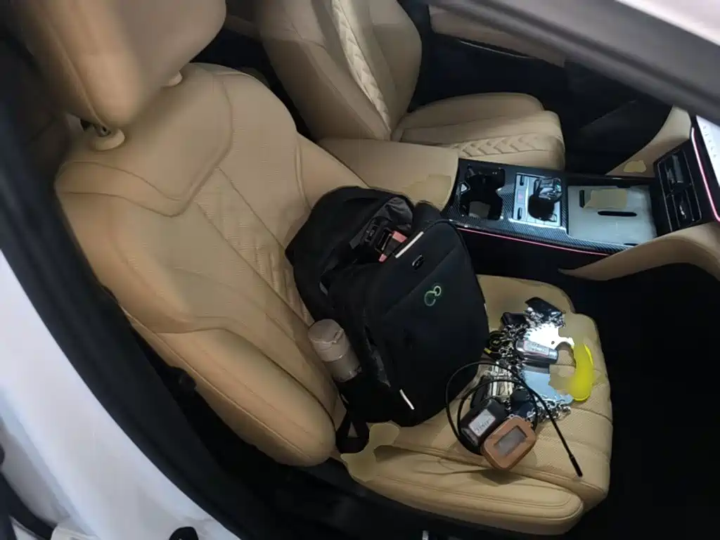 BYD L DM-i — фото 25