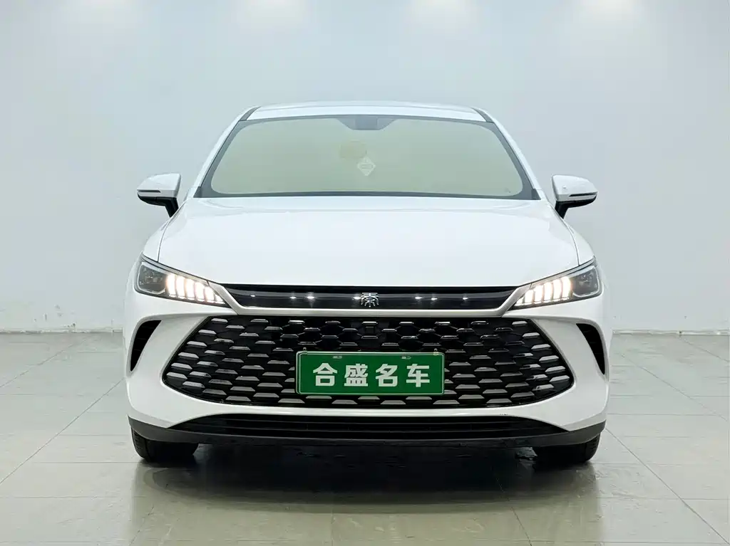 BYD Qin PLUS — фото 2