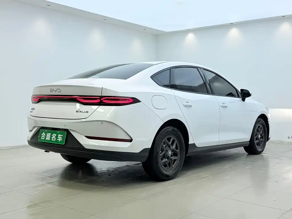 BYD Qin PLUS — фото 11