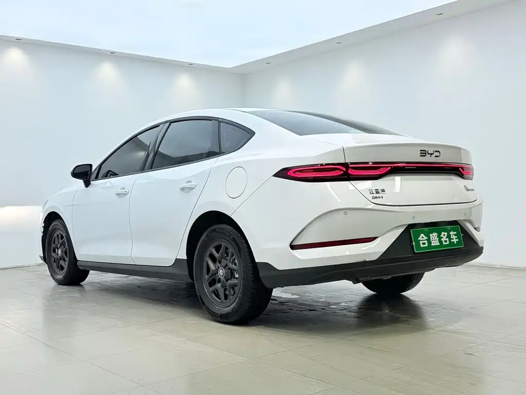 BYD Qin PLUS — фото 13