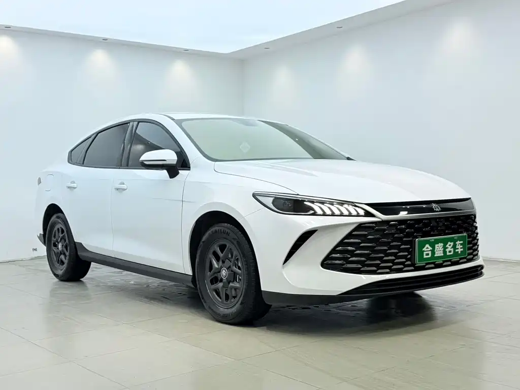 BYD Qin PLUS — фото 3