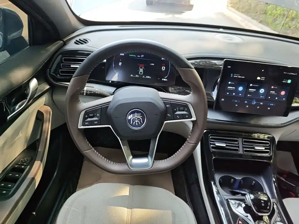 BYD Qin PLUS — фото 11