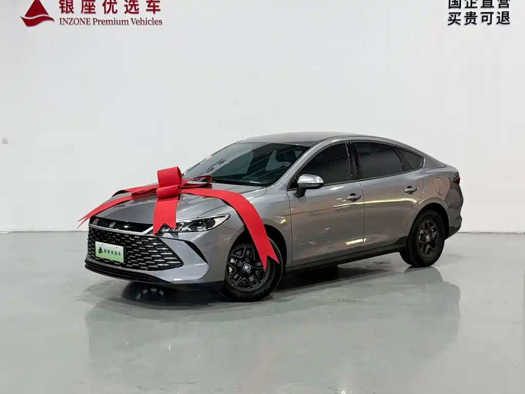 BYD Qin PLUS — фото 3