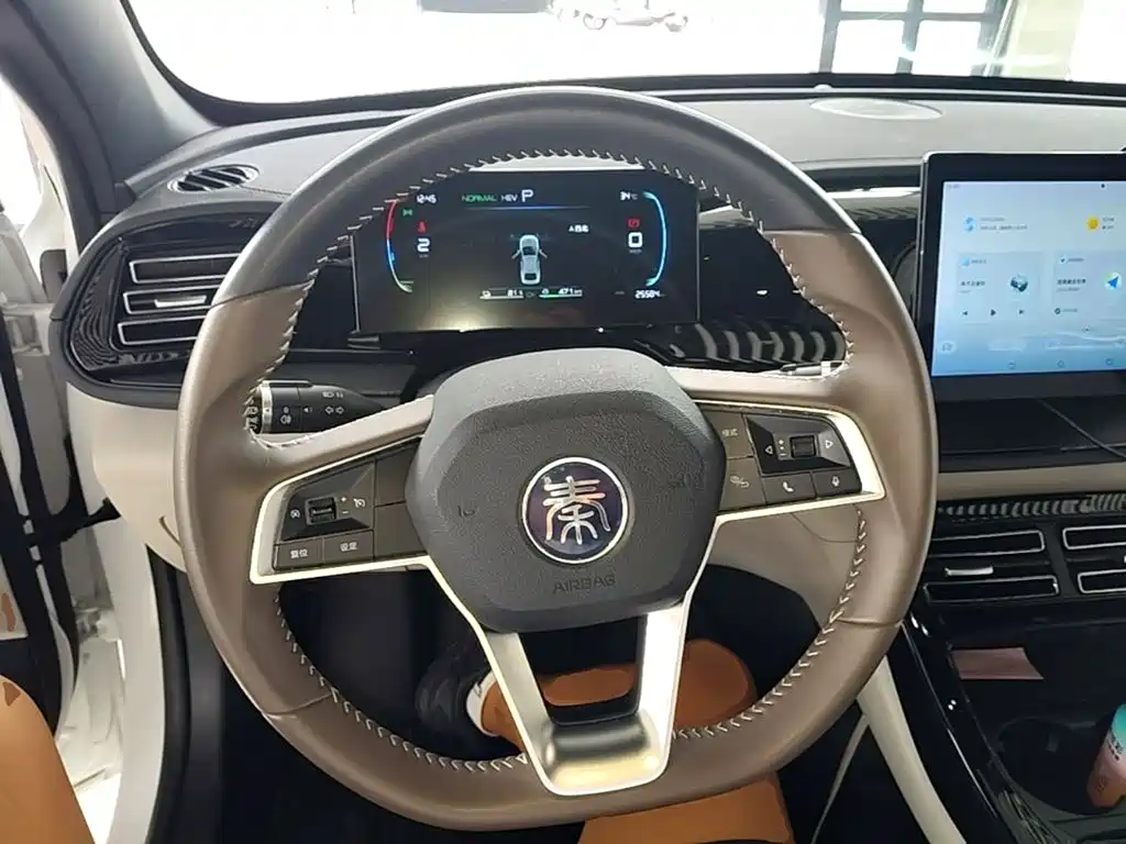 BYD Qin PLUS — фото 11
