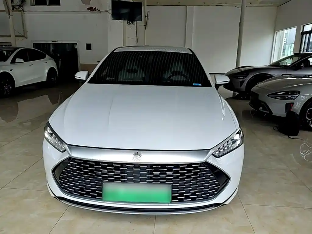 BYD Qin PLUS — фото 3