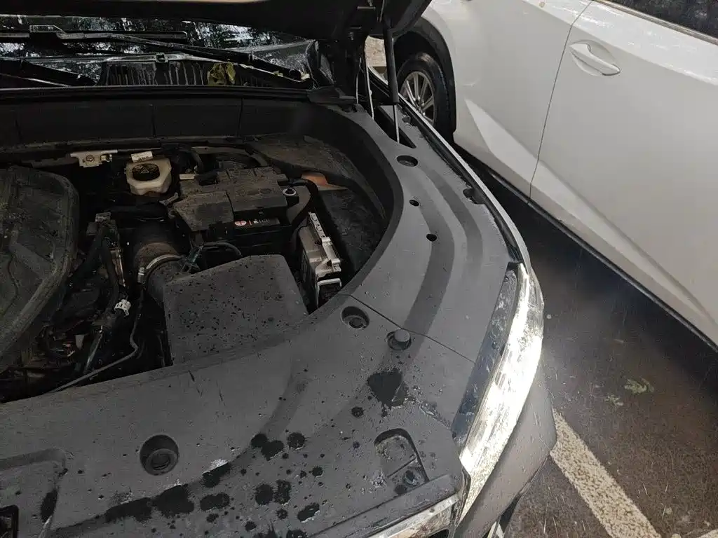 Geely Monjaro — фото 19