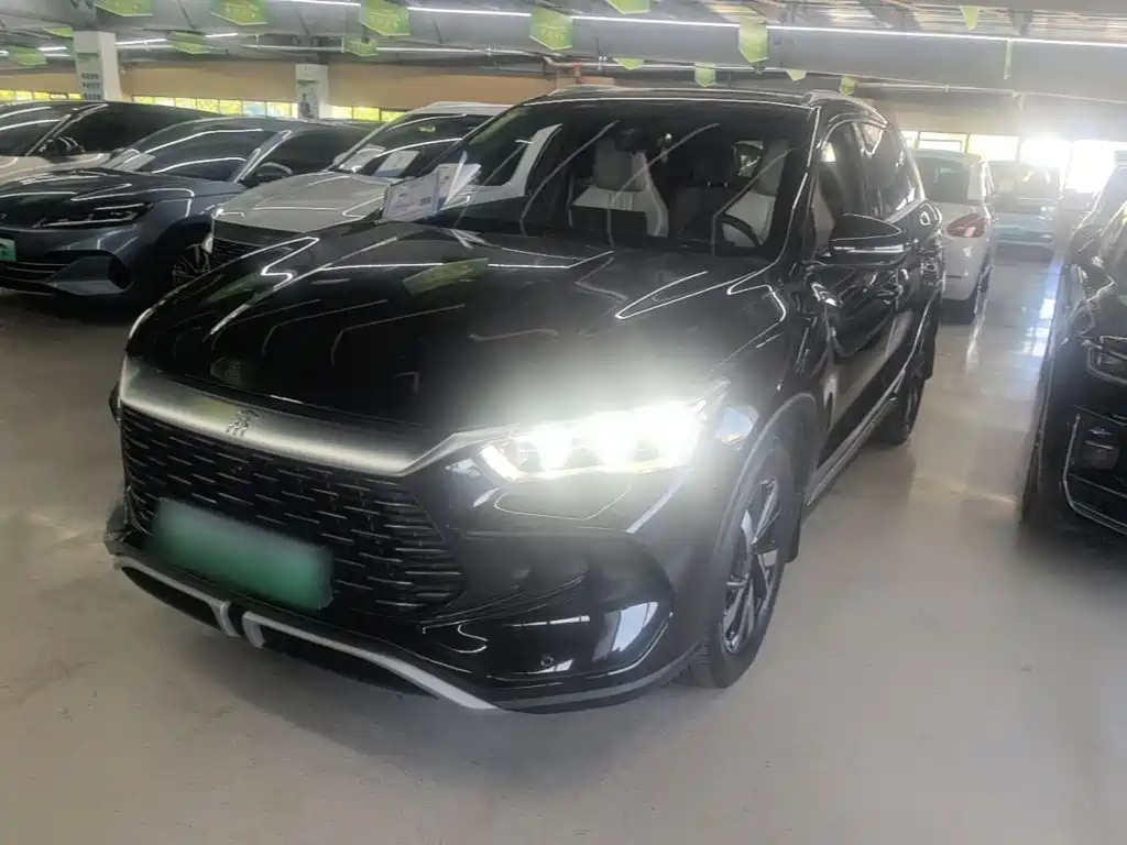 BYD Pro New Energy — фото 2