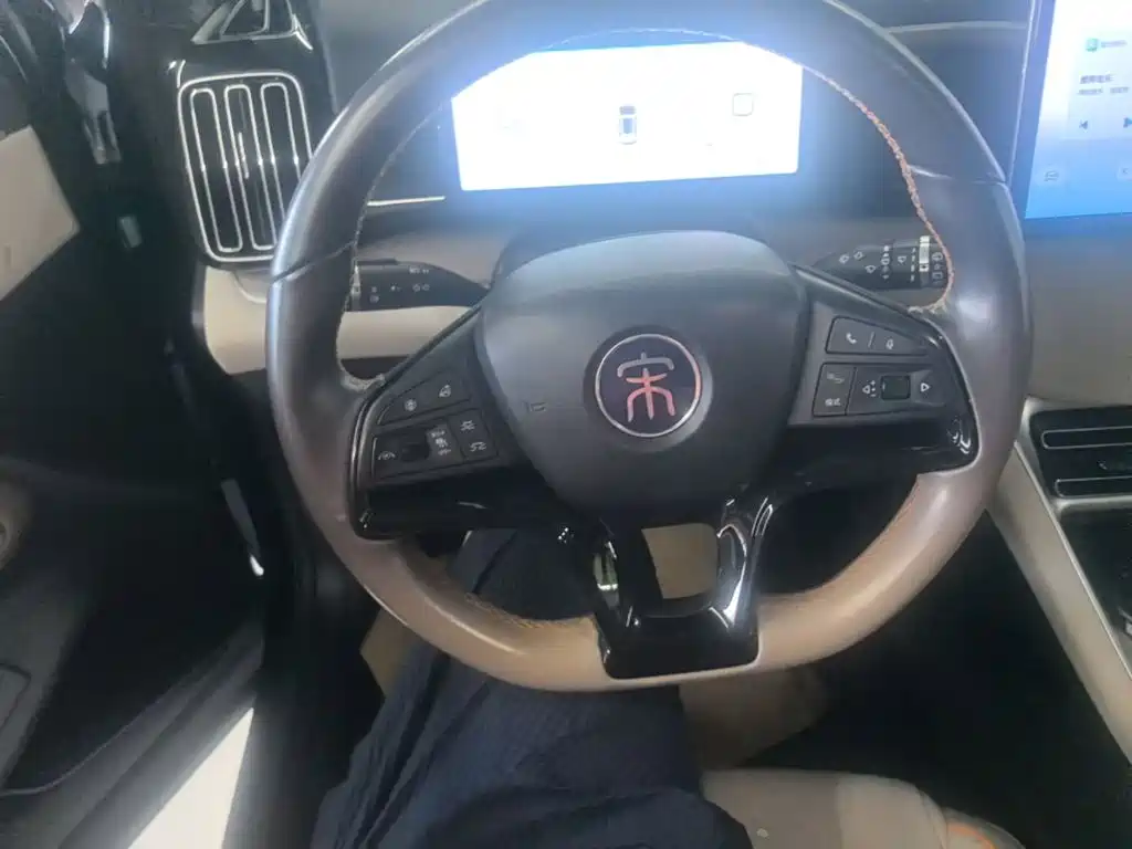 BYD Pro New Energy — фото 11