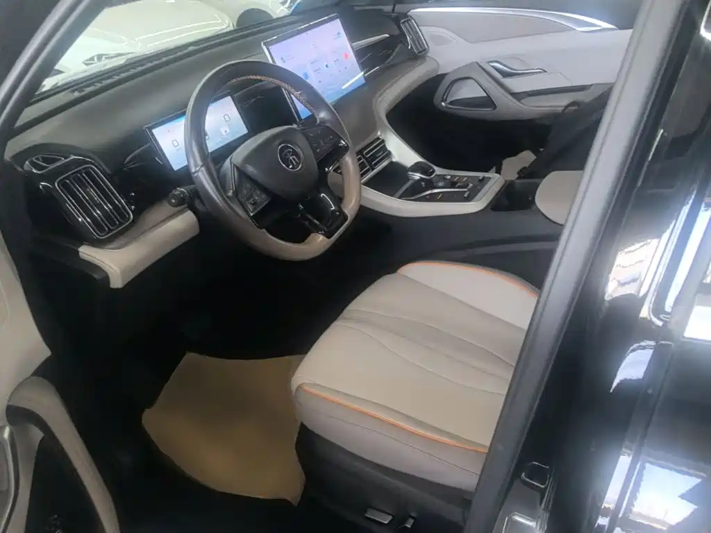 BYD Pro New Energy — фото 15