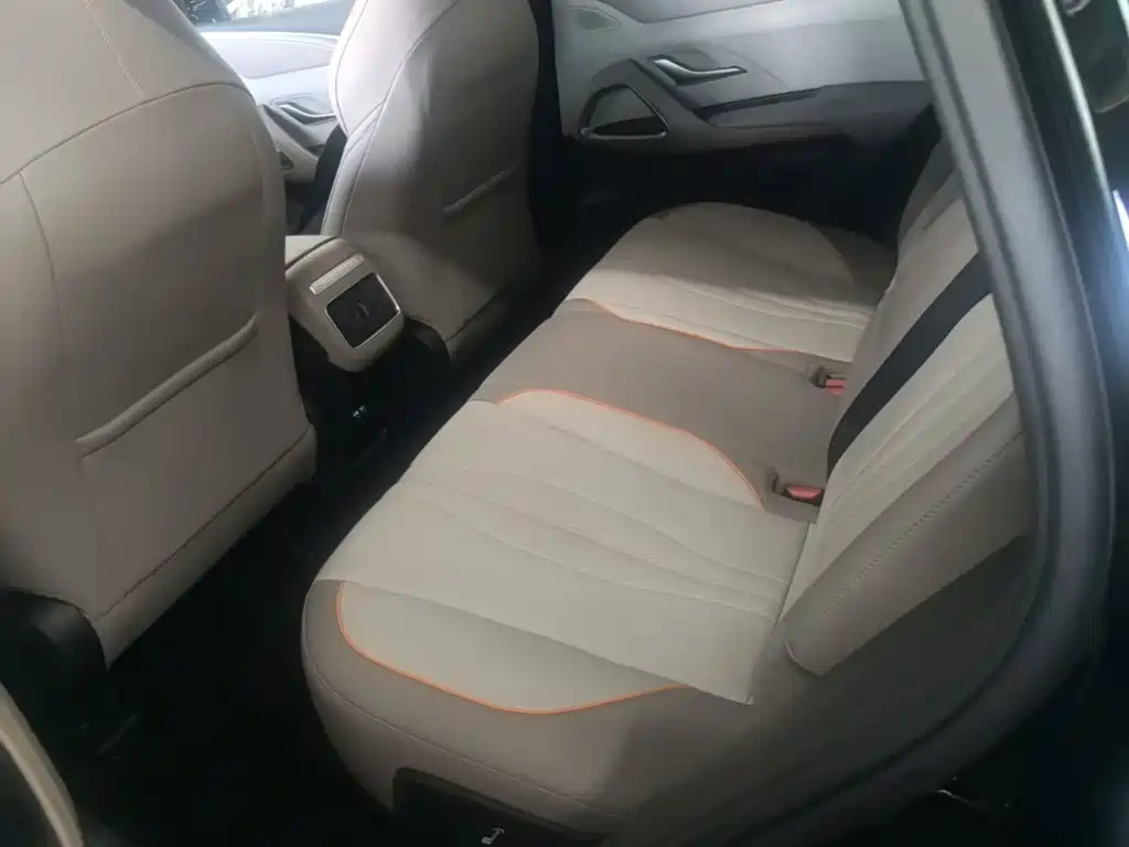 BYD Pro New Energy — фото 17