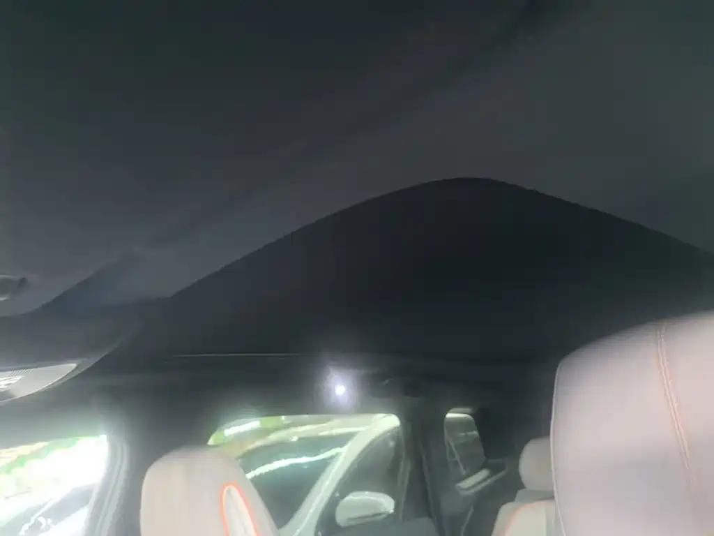 BYD Pro New Energy — фото 18