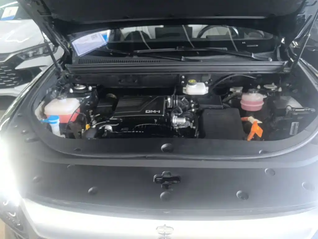 BYD Pro New Energy — фото 20